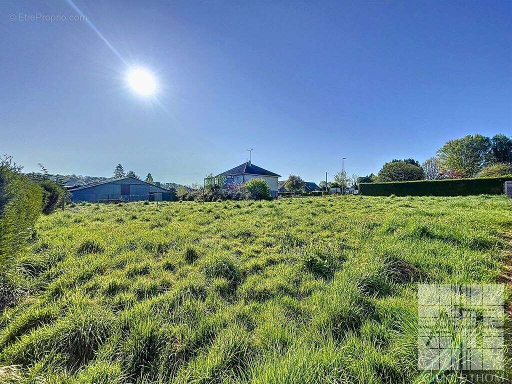 Terrain à CHAILLAND