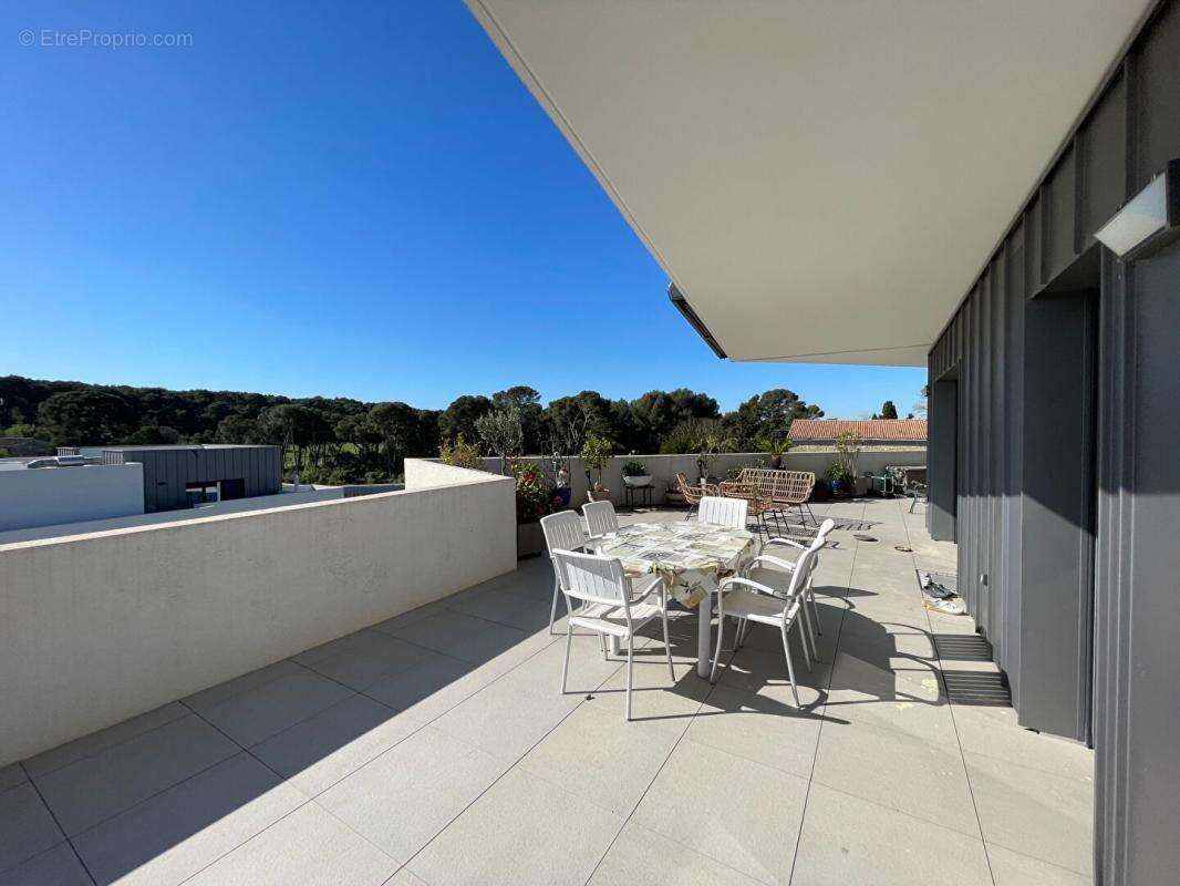 Appartement à CASTELNAU-LE-LEZ