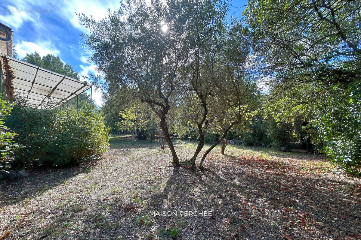 Maison à DRAGUIGNAN