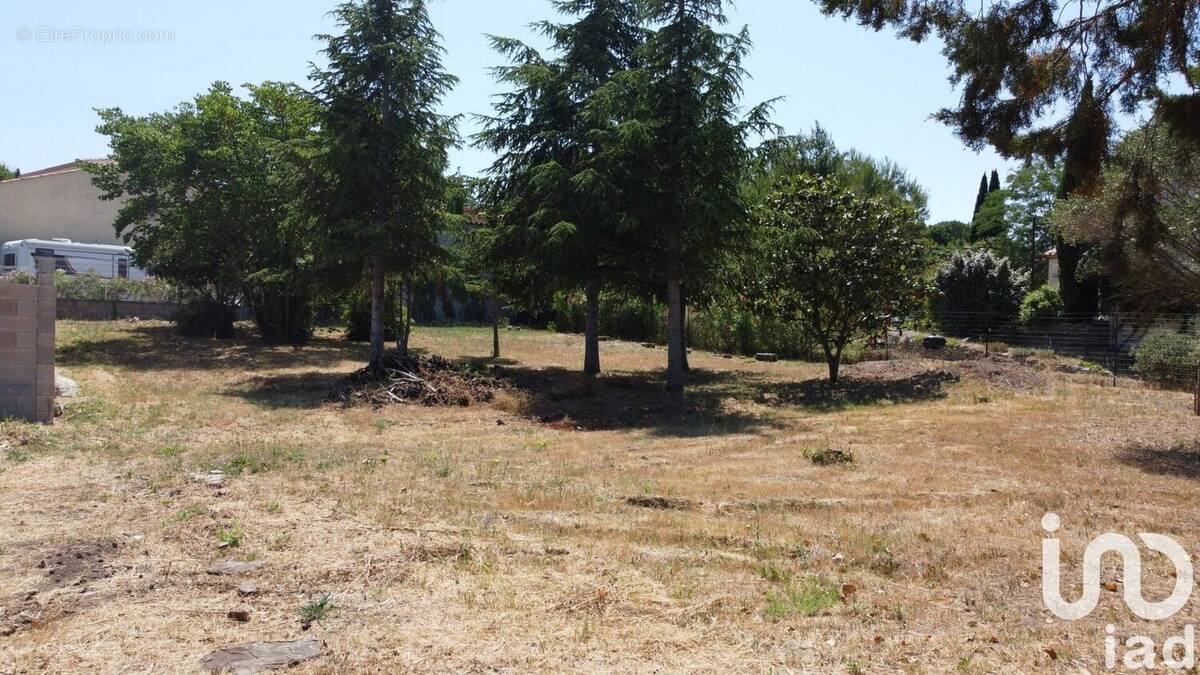 Photo 1 - Terrain à SALLES-D&#039;AUDE