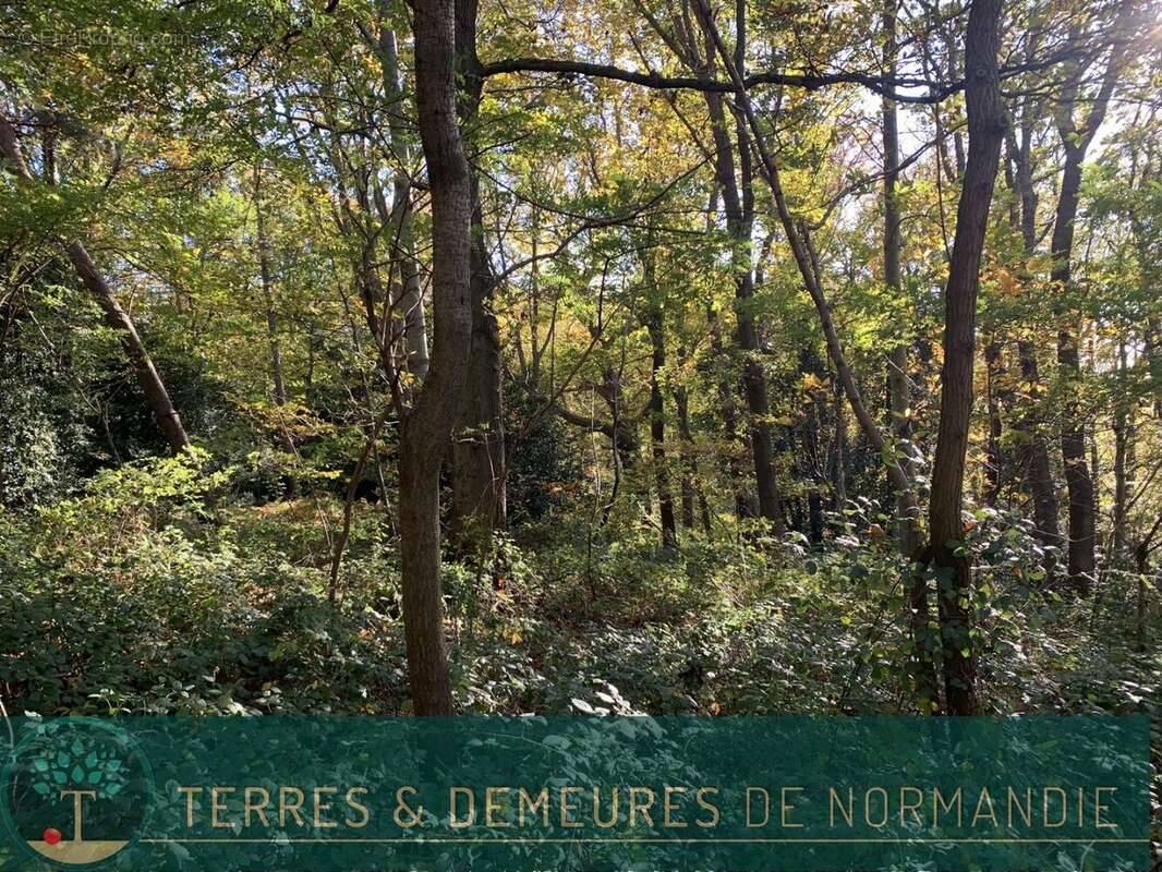 Terrain à BEUZEVILLE