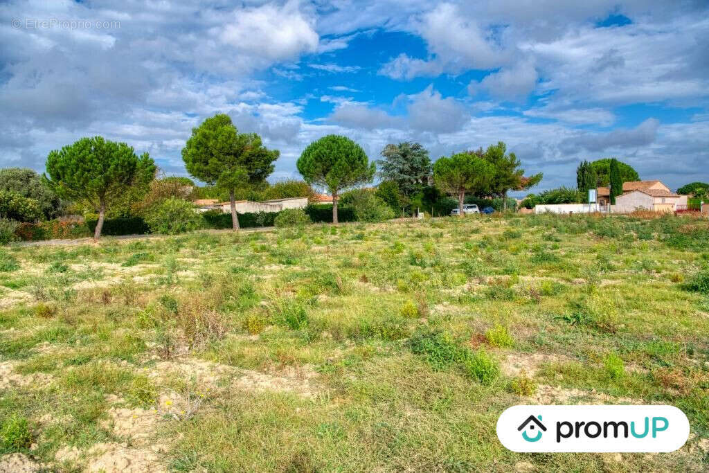 Terrain à VILLESEQUELANDE