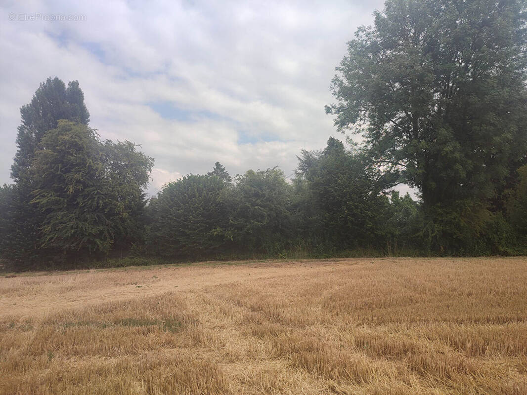 Terrain à SERAINCOURT