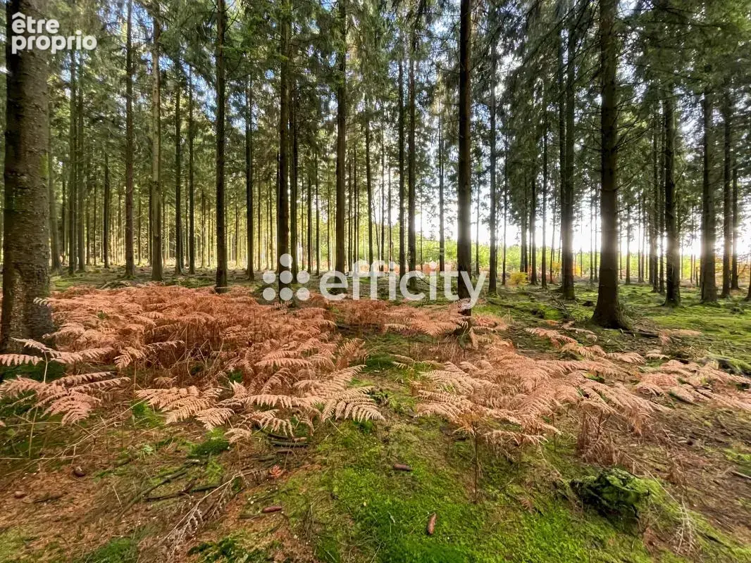 Terrain 677 m² à vendre à Radon (61250) - photo 6