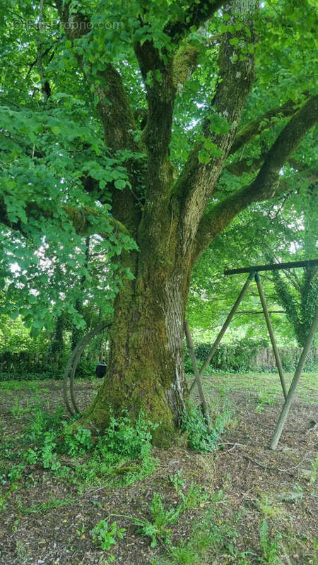 20250515_144350 - Maison à BUSSEROLLES