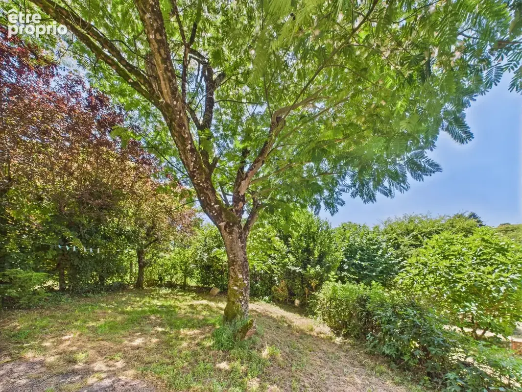 Maison avec 26 hectares de terres certifiées biologiques à la frontière du Limousin et de la Dordogne - photo 12