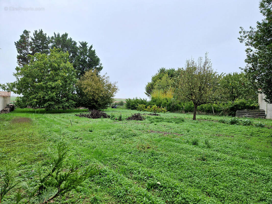 Terrain à ARDILLIERES