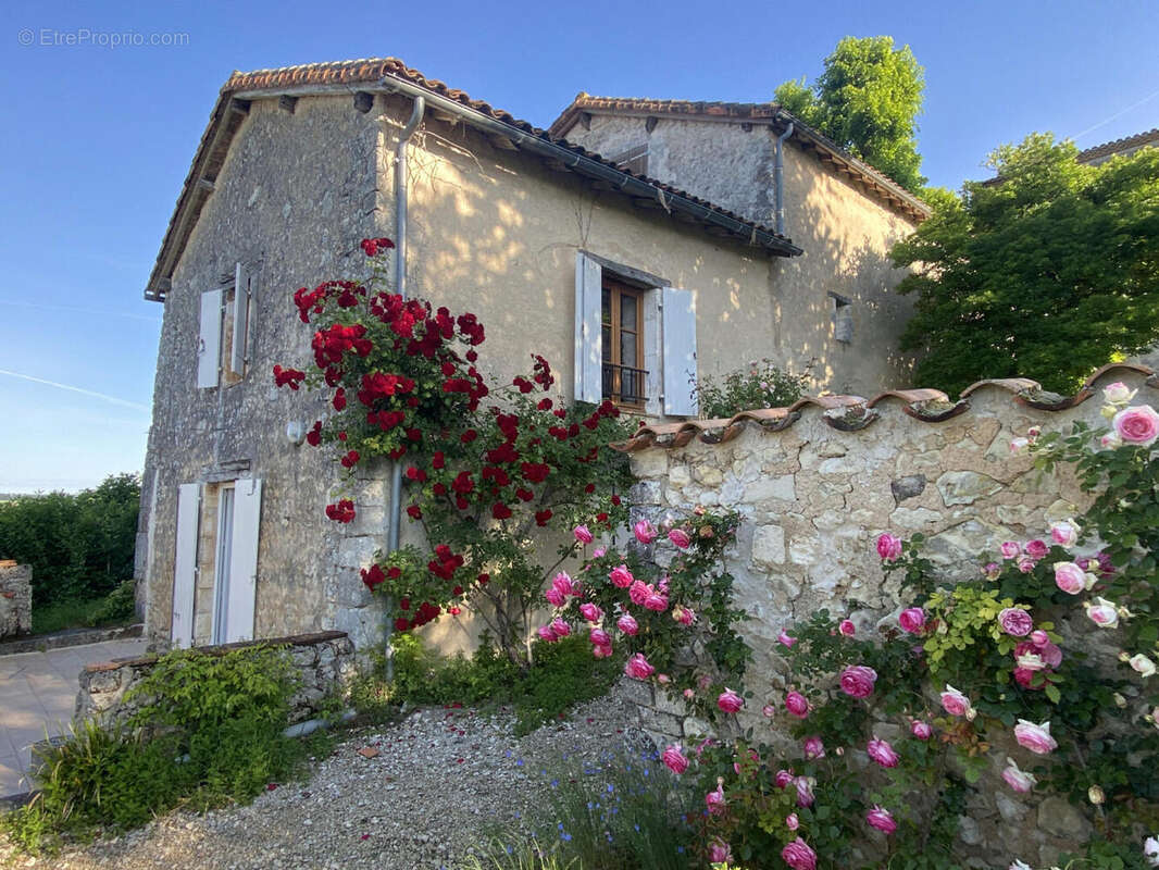 facade matin - Maison à MONTMOREAU-SAINT-CYBARD