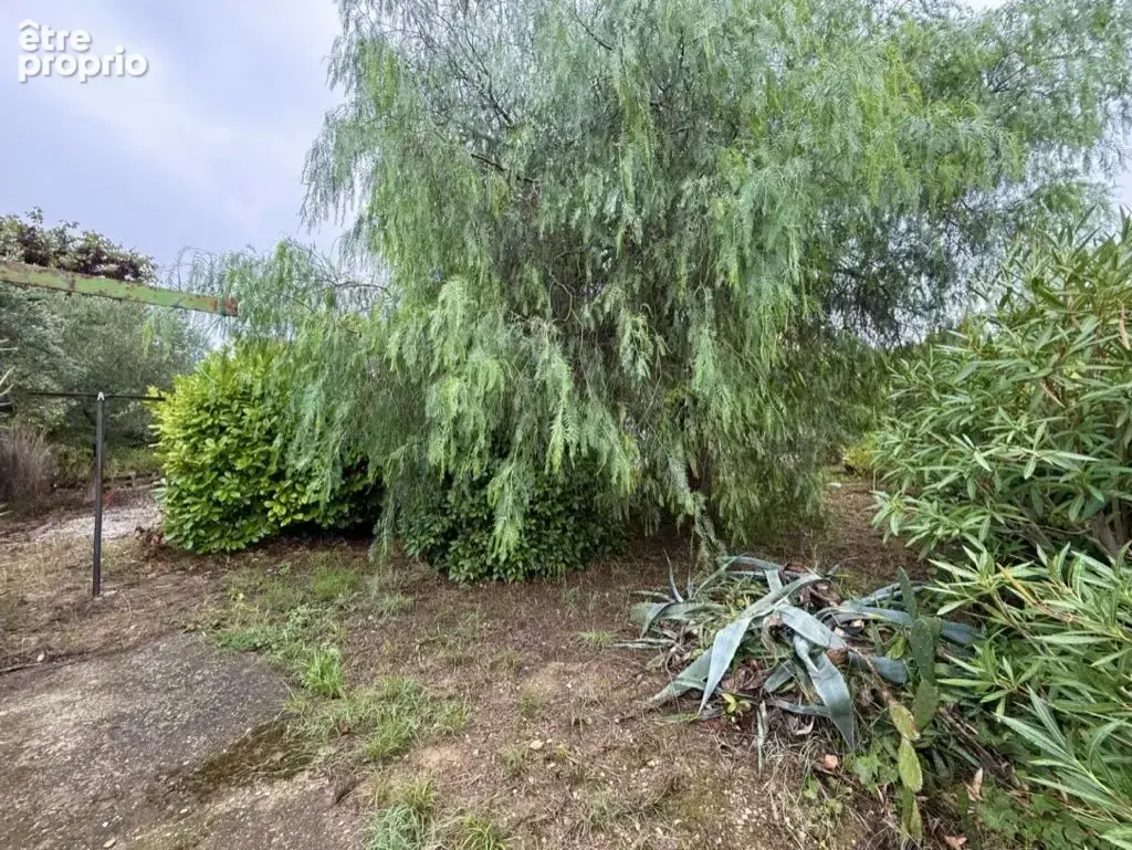 Maison de plain pied sur magnifique parcelle arborée - photo 8