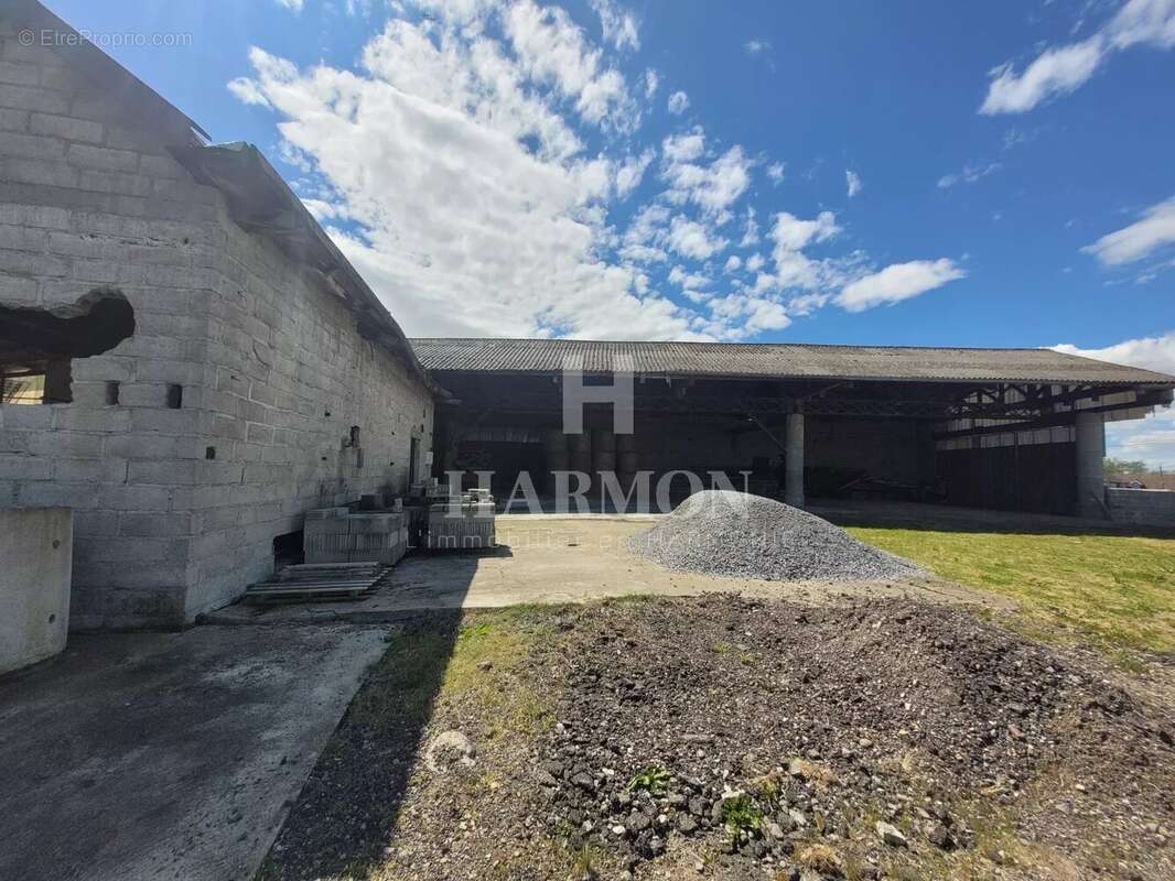 Commerce à MAZEROLLES