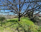 Terrain à MOISSAC