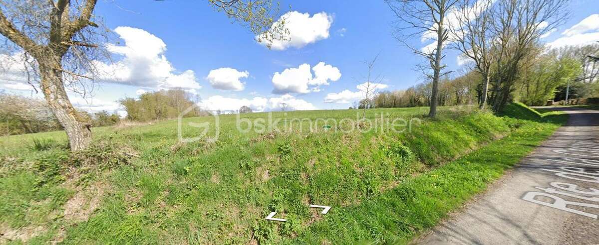  Terrain agricole / de loisir – Le Plantis – 17 840 m² - photo 3