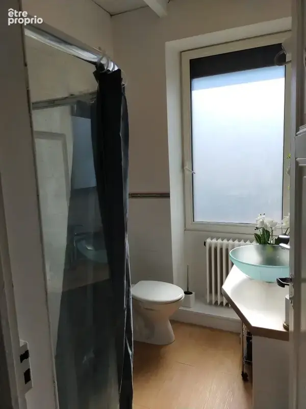 Venez découvrir cette charmante maison avec ces deux studios indépendants et sa piscine hors sol - photo 22