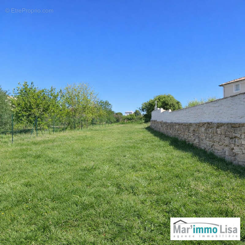 Terrain 440 m² à Mazan  - photo 2