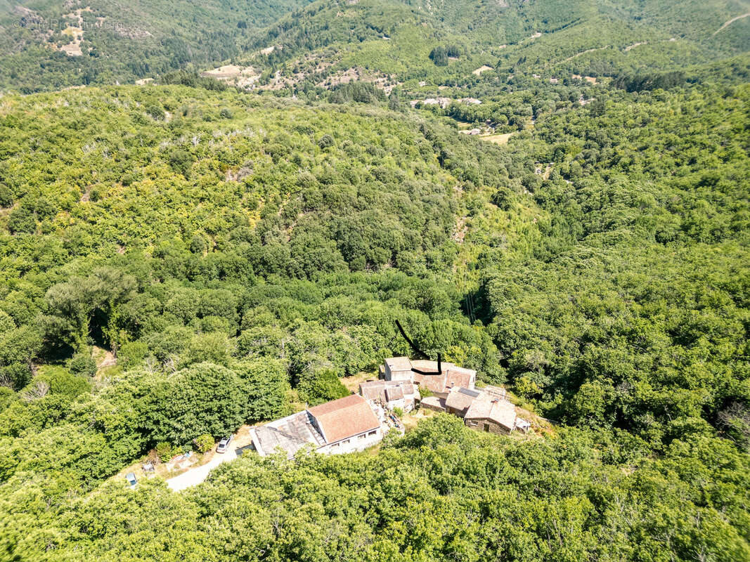 Maison avec vue panoramique exceptionnelle   La Palisse, Rosis   Proche Caroux - photo 15