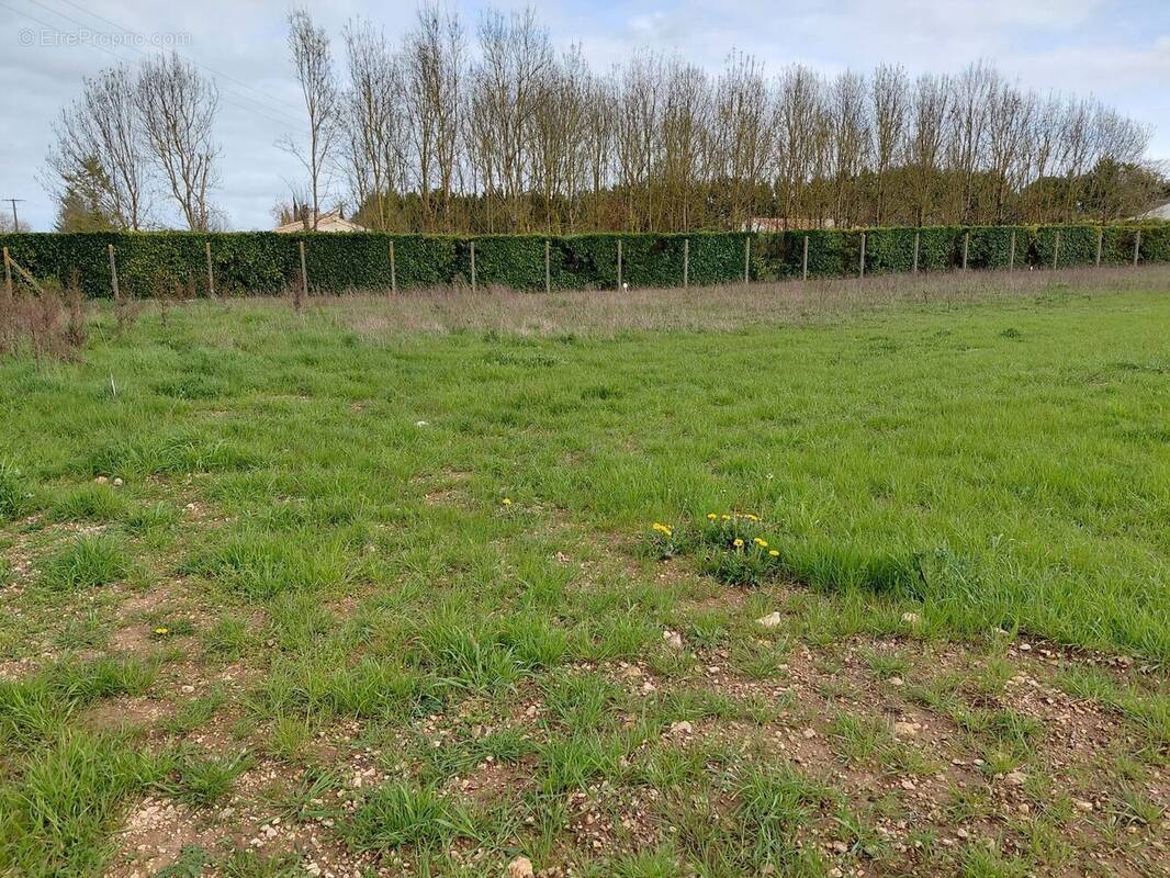 Terrain à VERVANT