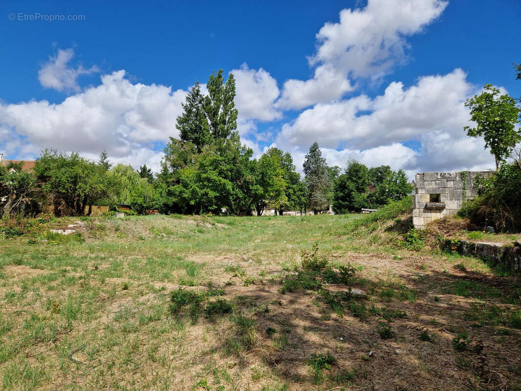 Vente exceptionnel terrain constructible bord de loire - photo 3