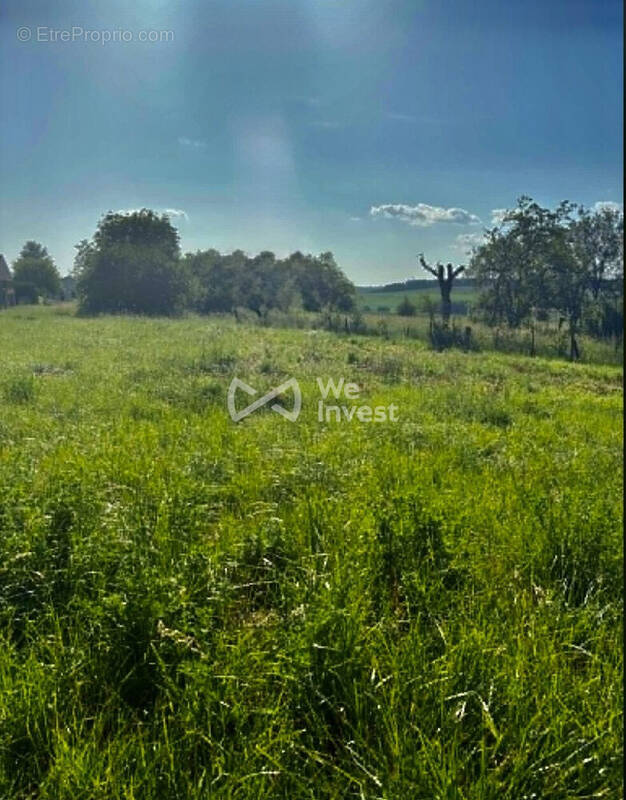 Terrain à DONCOURT-LES-LONGUYON
