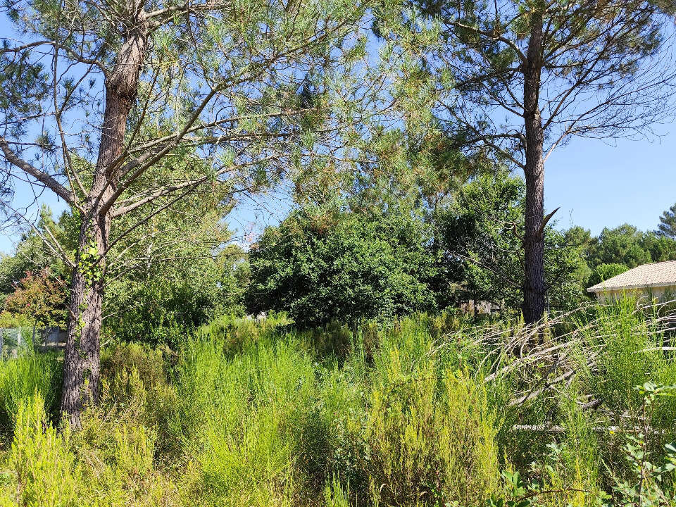 Terrain à VENDAYS-MONTALIVET