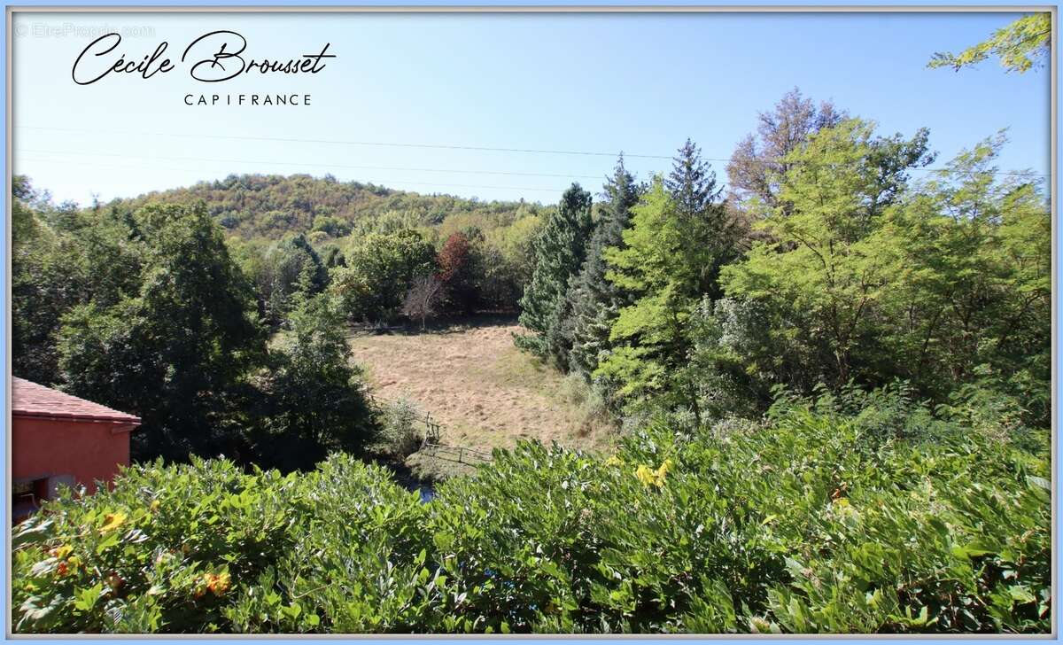 Propriete à vendre 10 pièces SAINT LAURENT DE CERDANS (66) - photo 18