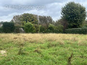 Terrain à WANNEHAIN