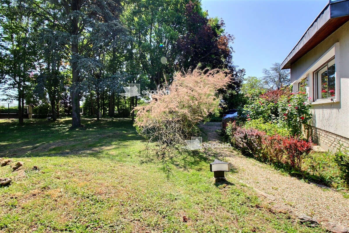 Maison à LES MOLIERES