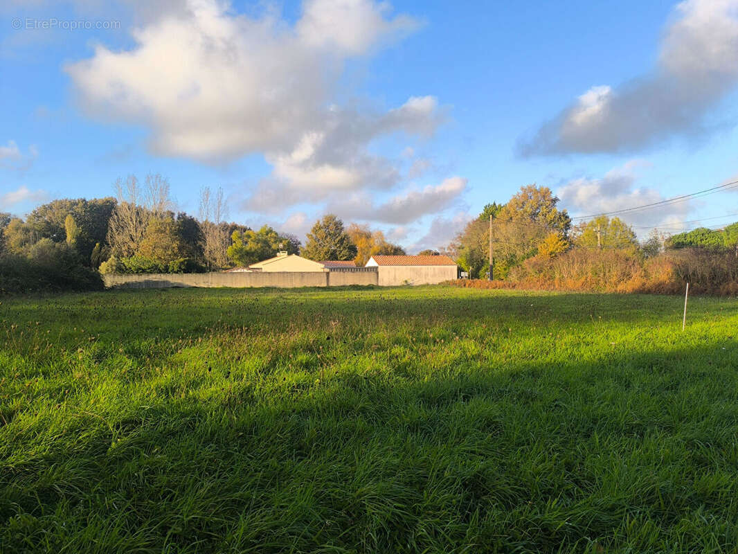 Terrain à COMMEQUIERS