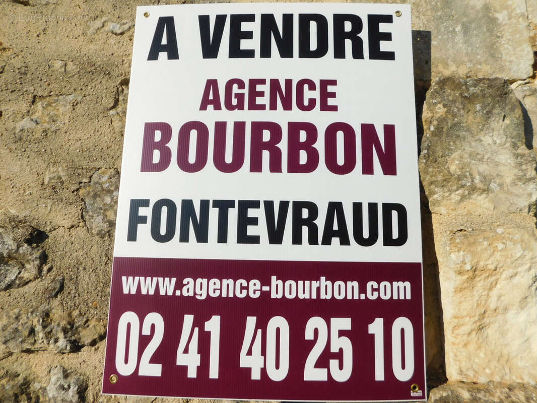 Saumur/chinon - photo 2