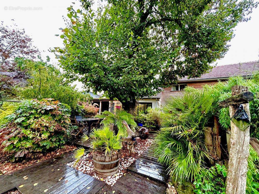 Maison à NOUANS-LES-FONTAINES