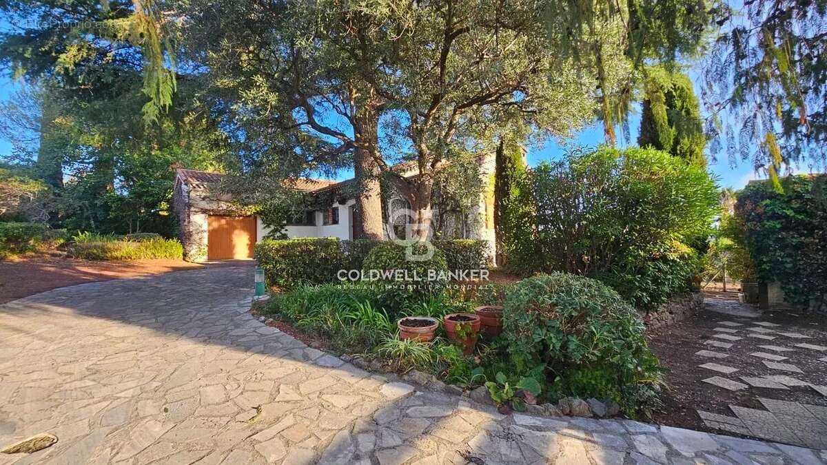 Maison à CANNES