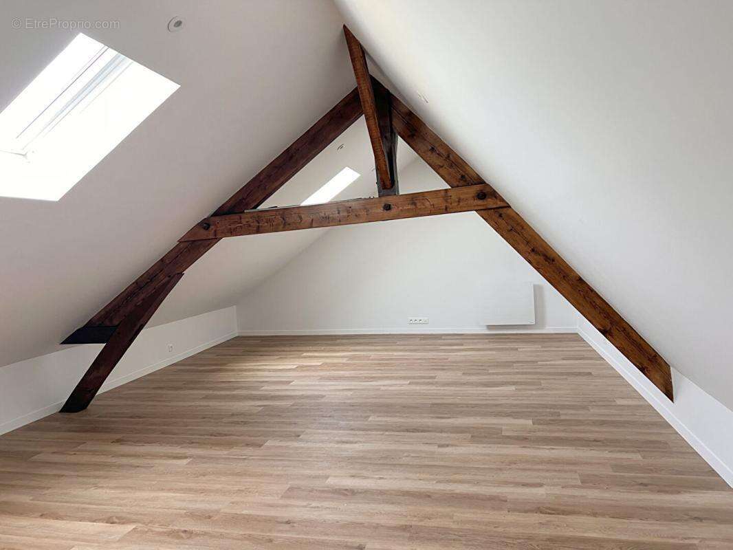 Maison de ville Le Mans 9 pièce(s) 300m² avec jardin Hôtel particulier 19e - photo 9