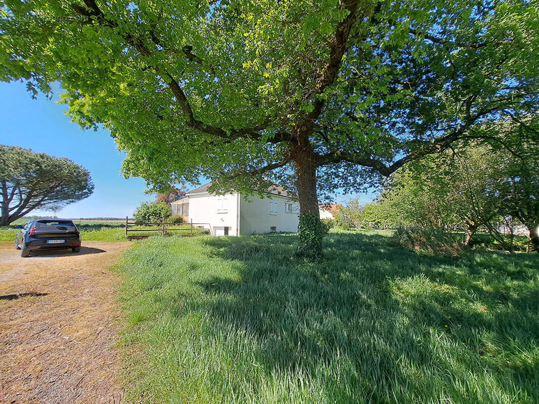 Maison à THILOUZE