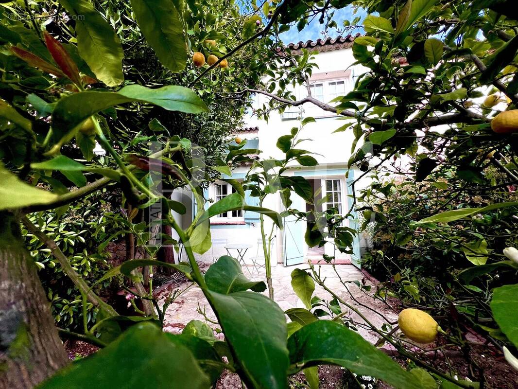 Maison à CANNES
