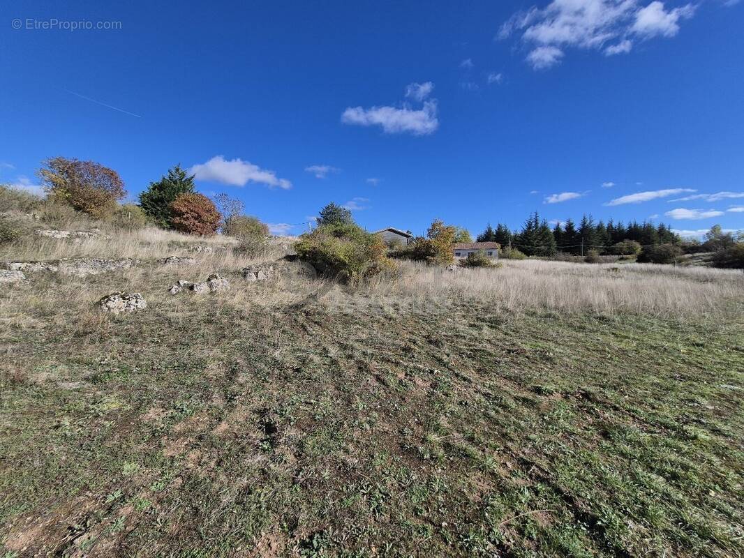 Terrain à LE CAYLAR