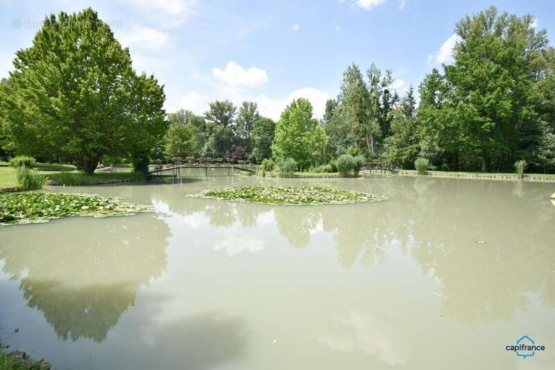 Maison à SELLES-SUR-CHER