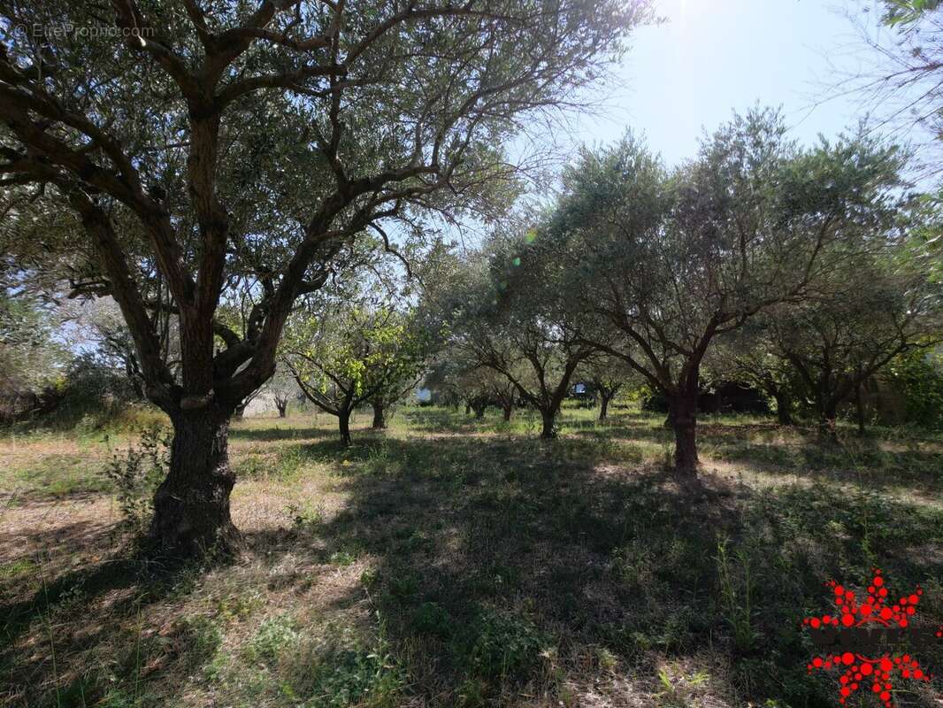 Terrain à CAPESTANG