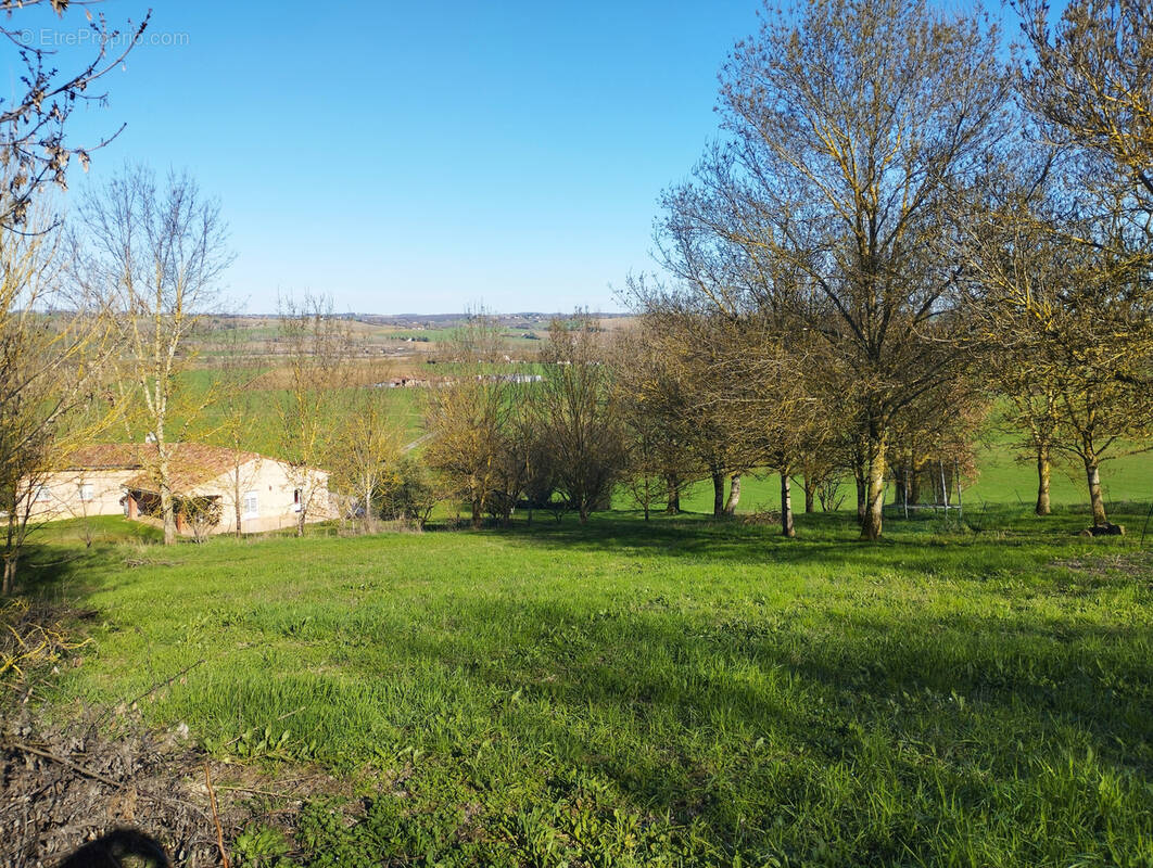 Terrain à CARAMAN