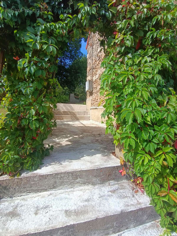 Maison à SAINT-JULIEN-LE-ROUX