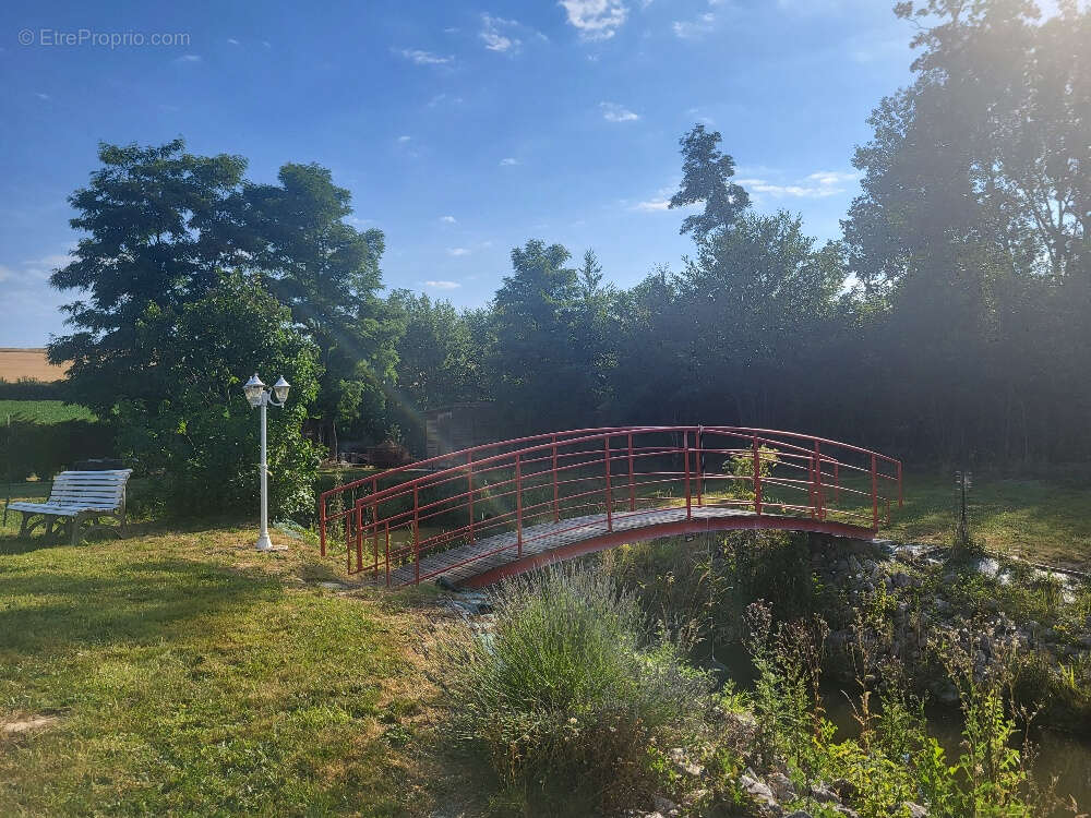Terrain à CHATILLON-SUR-CHALARONNE