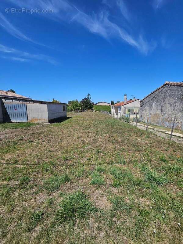 Photo 2 - Terrain à SAINT-ESTEPHE