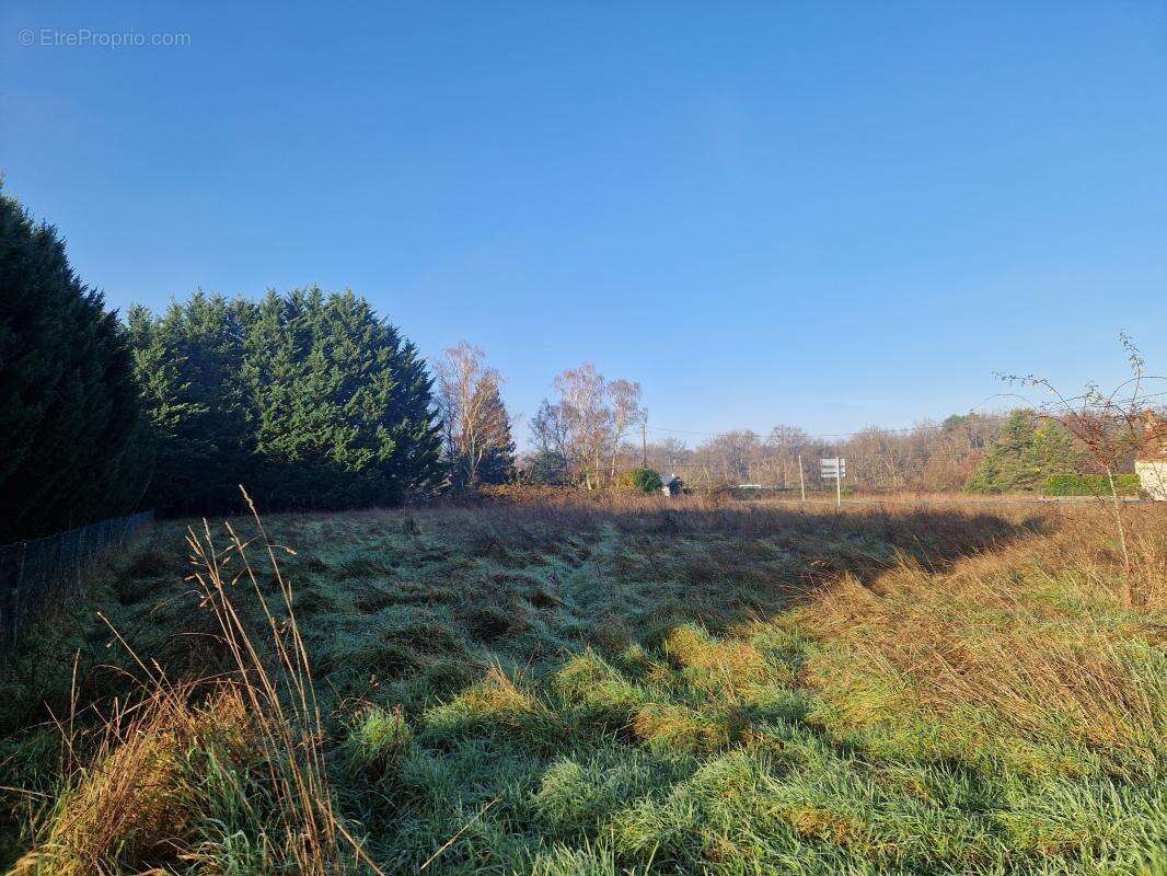 Terrain à CHATILLON-SUR-CHER