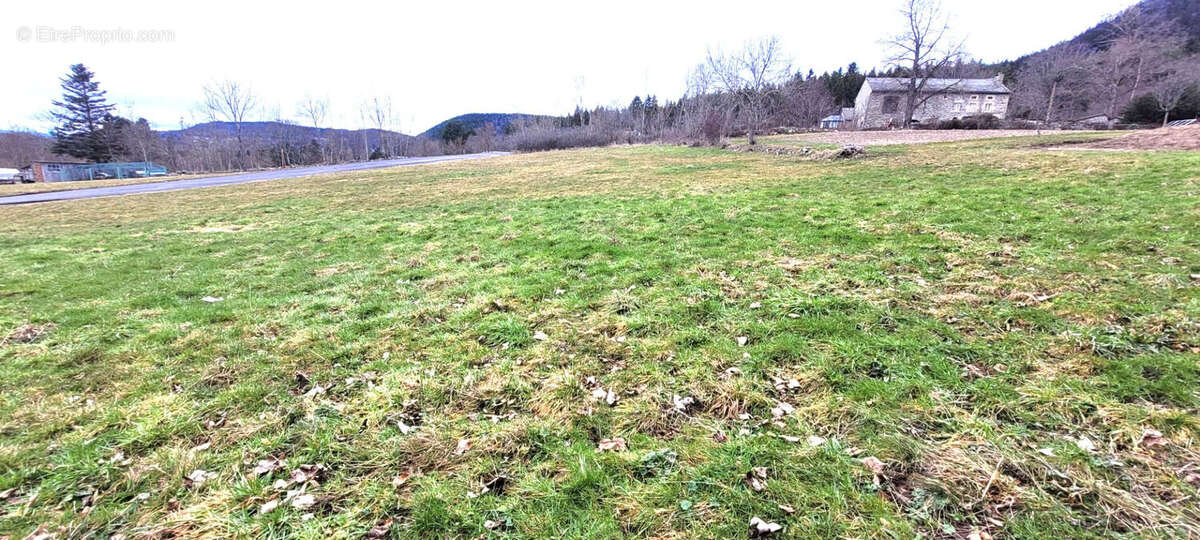 Terrain à QUEYRIERES