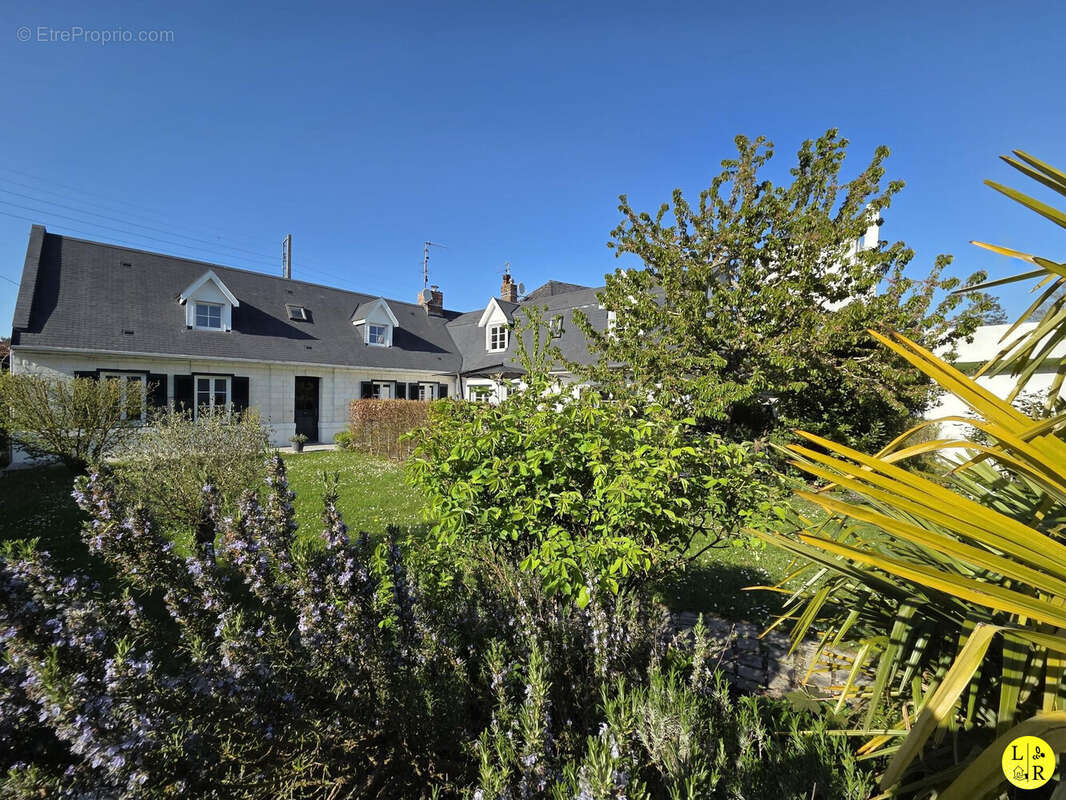 Maison à DAINVILLE