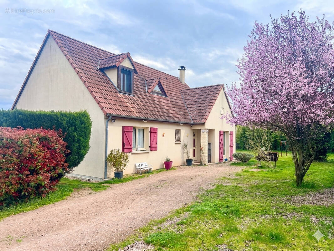 Maison à MARS-SUR-ALLIER