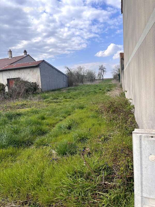 Terrain 1223 m² à Luneville  - photo 2