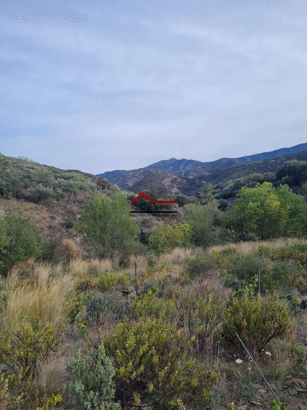 Terrain à BANYULS-SUR-MER