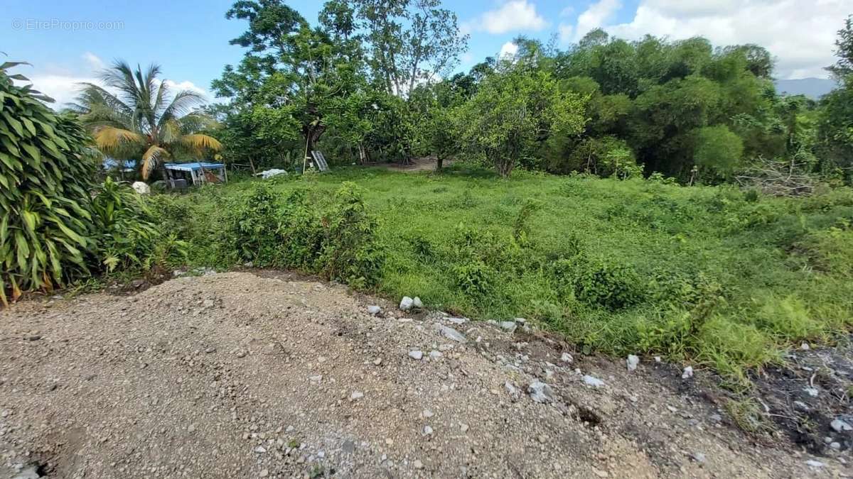 Terrain à BASSE-POINTE