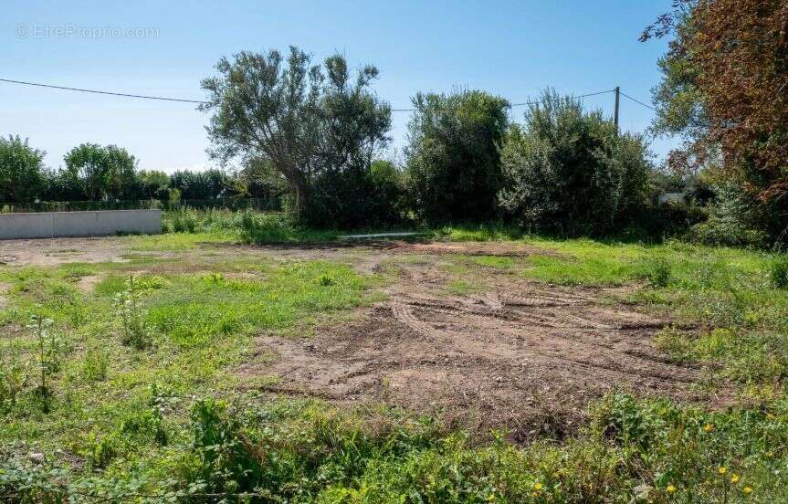 Terrain à BRETIGNOLLES-SUR-MER