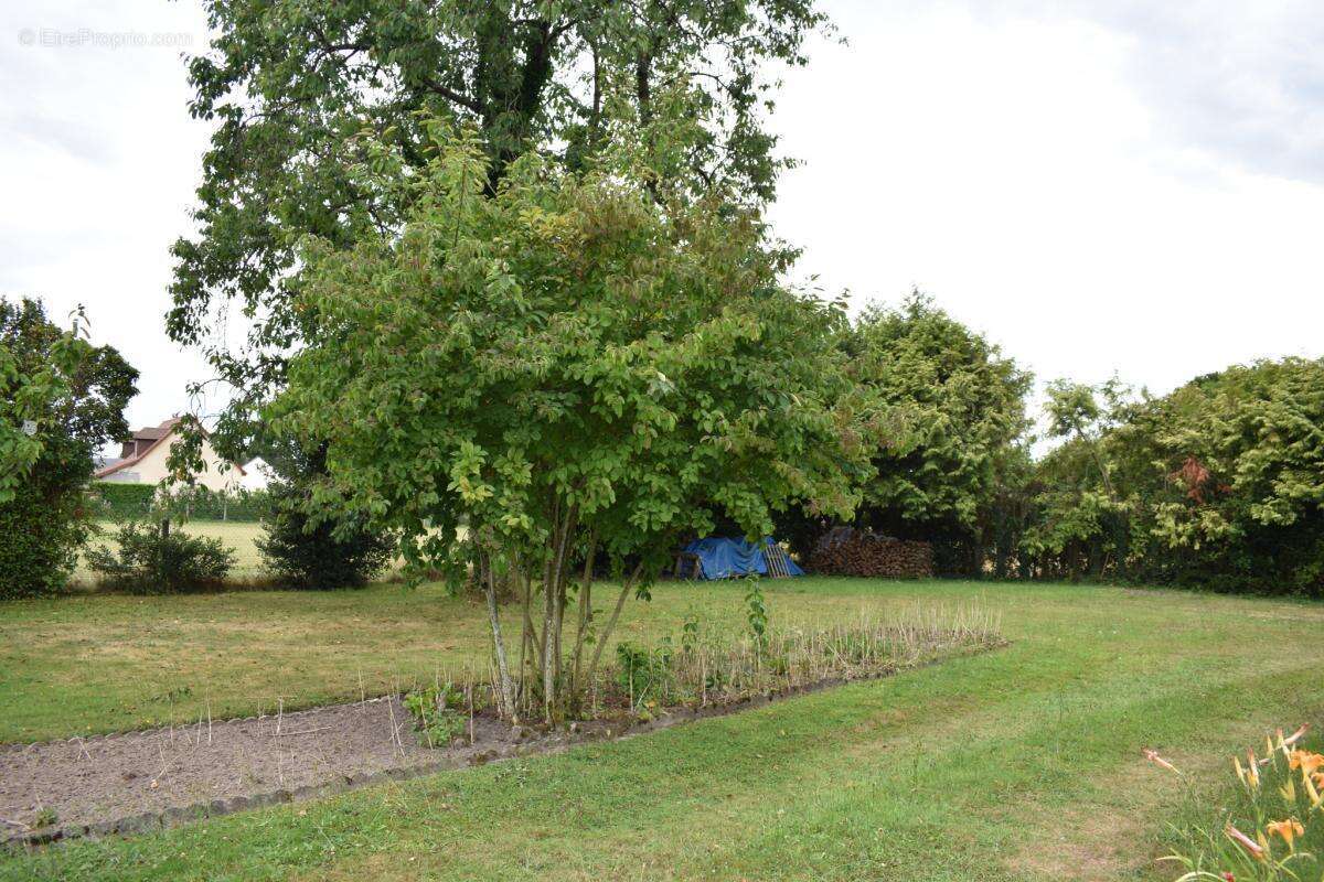 Maison à MONTFORT-SUR-RISLE