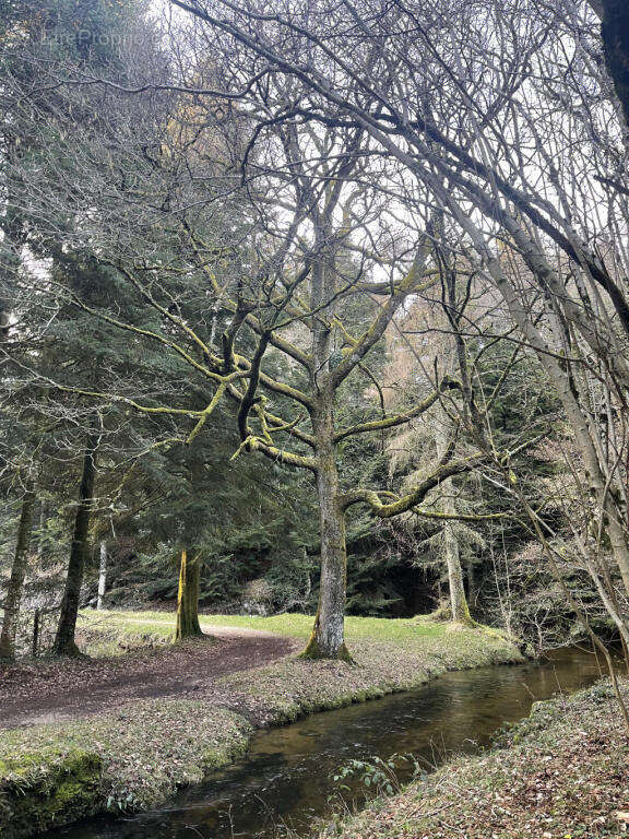 environs - Maison à SAISSAC